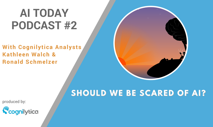 Podcast #2_ Should We Be Scared of AI_