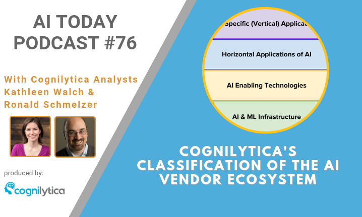 Podcast #76_ Cognilytica's Classification of the AI Vendor Ecosystem