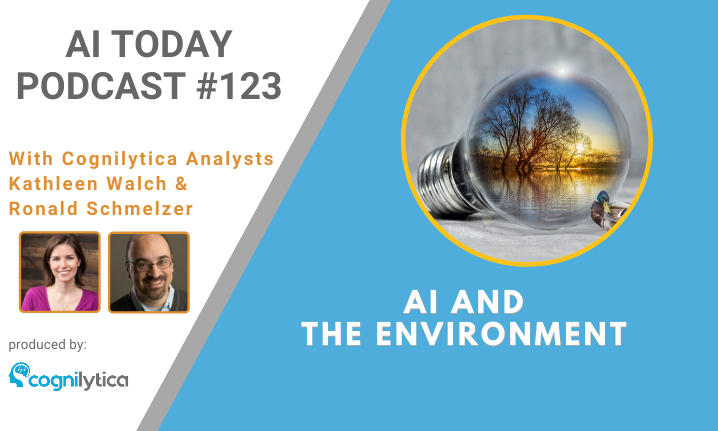 Podcast #123_ AI and the Environment