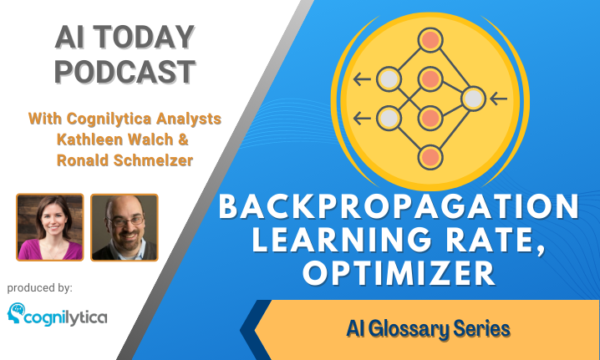 Backpropagation, Learning Rate, Optimizer