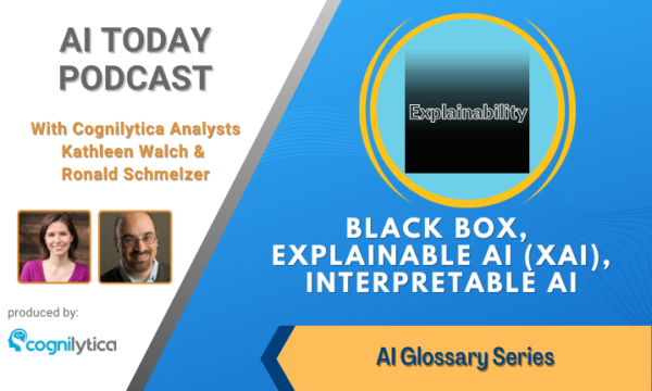 Black Box, Explainable AI (XAI), Interpretable AI
