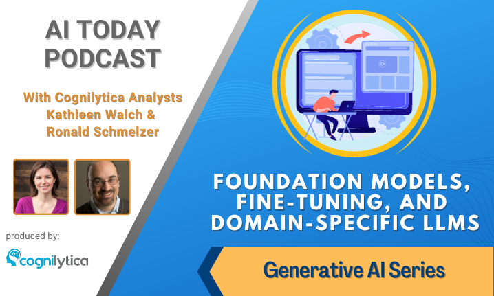 Foundation Models, Fine-Tuning, and Domain-Specific LLMs